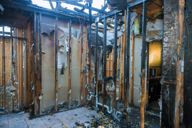 Professional Smoke Damage Removal technician working in Grantsburg, WI